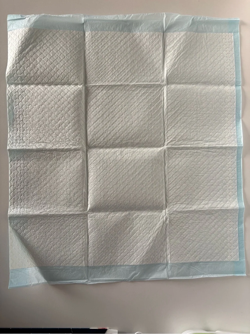 Disposable Dog Training Pad - White with Light Blue Border 17 in X 25 in 100 ct